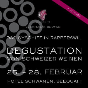 Poster Wyschiff Rapperswil