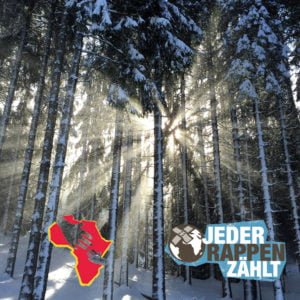 cs-frohe-weihnacht