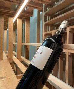 CaveauStar Casier à vin avec éclairage